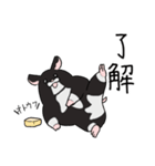 くろハムのさとちゃん（個別スタンプ：4）