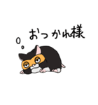 くろハムのさとちゃん（個別スタンプ：11）