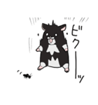 くろハムのさとちゃん（個別スタンプ：13）