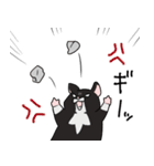 くろハムのさとちゃん（個別スタンプ：14）
