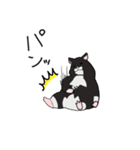 くろハムのさとちゃん（個別スタンプ：33）