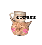 {I'm Chato.}（個別スタンプ：5）