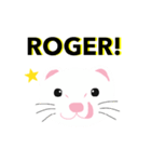 フェレット カラーバリエーション 了解！（個別スタンプ：8）