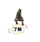大福と幸子 2（個別スタンプ：4）
