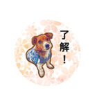 かわいい犬！！（個別スタンプ：2）