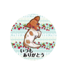 かわいい犬！！（個別スタンプ：3）