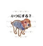 かわいい犬！！（個別スタンプ：4）