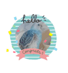 リアルセキセイインコの日常会話（個別スタンプ：15）