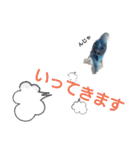 リアルセキセイインコの日常会話（個別スタンプ：18）