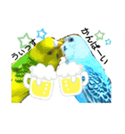 リアルセキセイインコの日常会話（個別スタンプ：23）