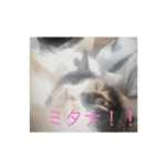 なな＆せいや3（個別スタンプ：1）