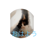 なな＆せいや3（個別スタンプ：2）