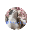 なな＆せいや3（個別スタンプ：5）