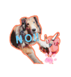 久保家の愛犬 パピー♀（個別スタンプ：4）