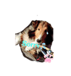 久保家の愛犬 パピー♀（個別スタンプ：8）