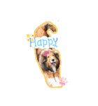 久保家の愛犬 パピー♀（個別スタンプ：9）