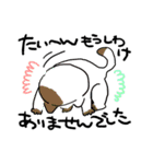 TAMATO SODA（個別スタンプ：17）