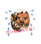 フェレットのペレさんのスタンプです（個別スタンプ：2）