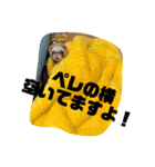 フェレットのペレさんのスタンプです（個別スタンプ：23）
