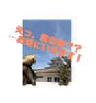 フェレットのペレさんのスタンプです（個別スタンプ：27）