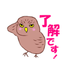 ノリノリふくろう（個別スタンプ：3）
