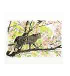水彩画 猫のいる風景スタンプ（個別スタンプ：3）