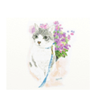 水彩画 猫のいる風景スタンプ（個別スタンプ：7）