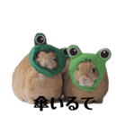 クッキーとかんぺい（個別スタンプ：10）