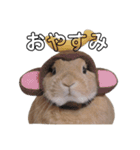 クッキーとかんぺい（個別スタンプ：15）