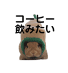 クッキーとかんぺい（個別スタンプ：18）