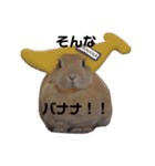 クッキーとかんぺい（個別スタンプ：20）