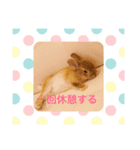 ポテチと小太郎と前田（個別スタンプ：5）