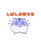 ハムスターのソラちゃん（個別スタンプ：5）