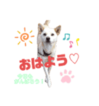 らぶちゃん♡（個別スタンプ：2）