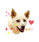 らぶちゃん♡（個別スタンプ：3）