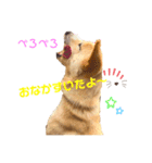 らぶちゃん♡（個別スタンプ：4）