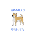 ここぞという時に使えないスタンプ（個別スタンプ：14）