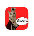 にゃんこツアー02★（個別スタンプ：31）