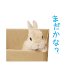 うさぎのまり坊1 リメイク版（個別スタンプ：9）