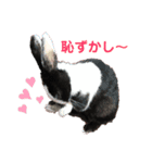 黄色い家のうさぎさん ver.2（個別スタンプ：3）