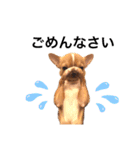 ユルいぬ（個別スタンプ：3）