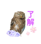 スタンプはやて（個別スタンプ：8）