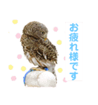 スタンプはやて（個別スタンプ：12）