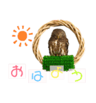 スタンプはやて（個別スタンプ：13）