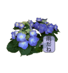 花はなことば（個別スタンプ：6）