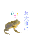 毎日使えるペットスタンプ（個別スタンプ：14）