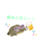 毎日使えるペットスタンプ（個別スタンプ：20）