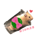 きんきんきんちゃん（個別スタンプ：1）
