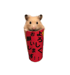 きんきんきんちゃん（個別スタンプ：4）