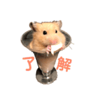 きんきんきんちゃん（個別スタンプ：6）